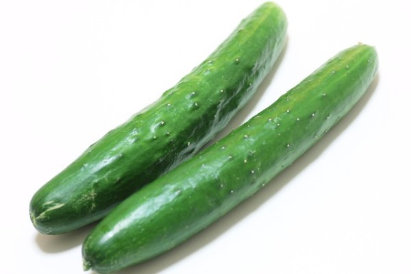 キュウリ
